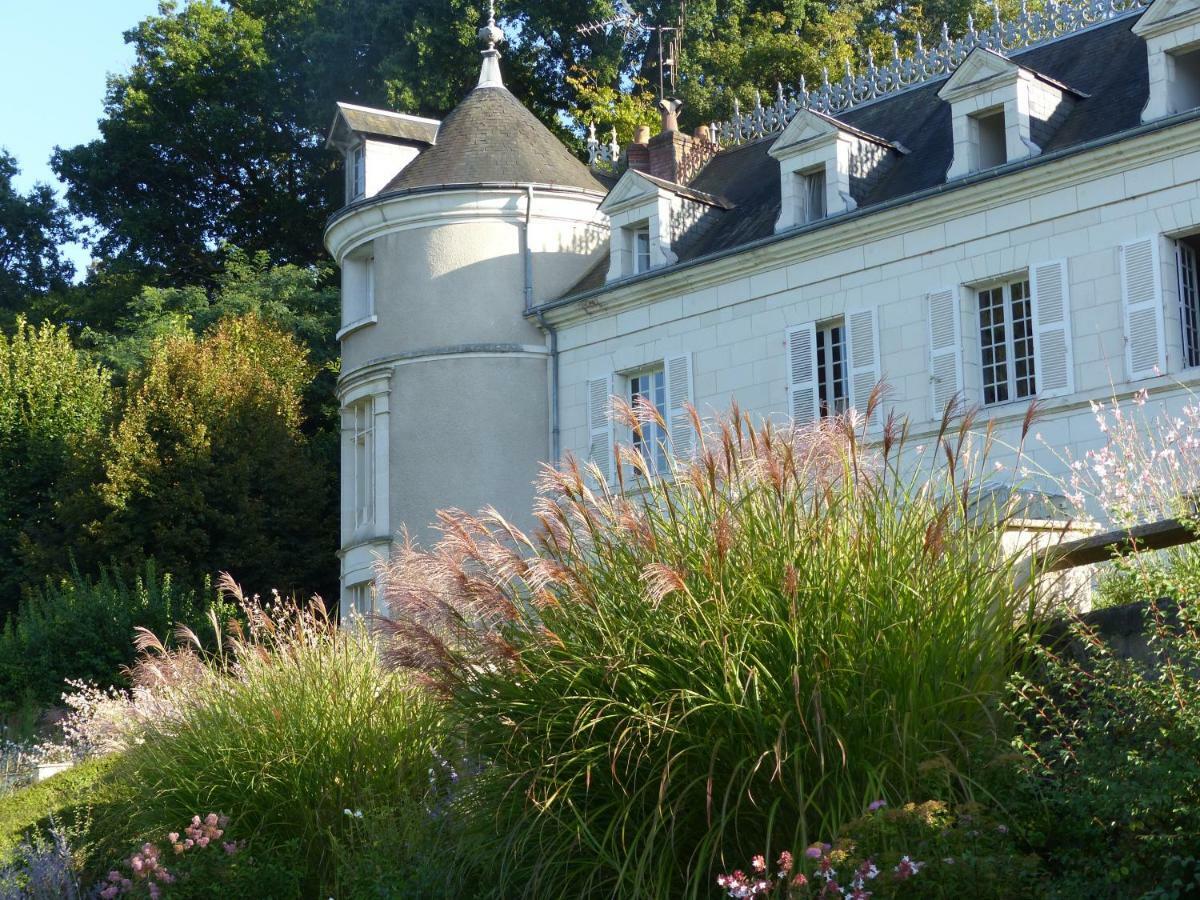 Manoir De La Vigneraie Bed & Breakfast Athée-sur-Cher Екстериор снимка