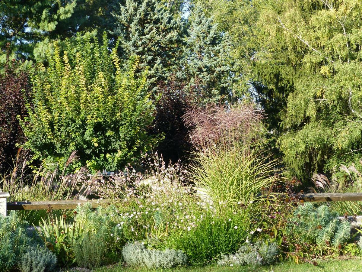 Manoir De La Vigneraie Bed & Breakfast Athée-sur-Cher Екстериор снимка